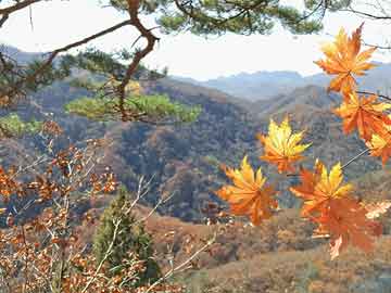 探索未來幸運(yùn)之門，2024年澳門今晚開獎(jiǎng)號(hào)碼，探索未來幸運(yùn)之門，2024年澳門今晚開獎(jiǎng)號(hào)碼揭秘