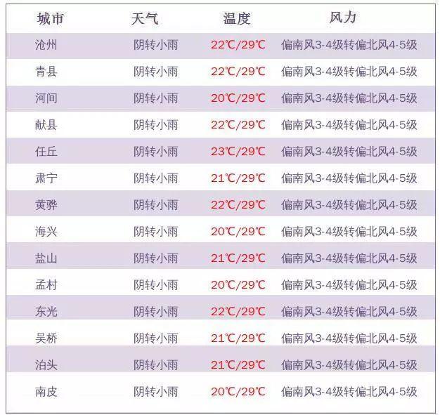 滄州公租房最新消息全面解讀，滄州公租房最新動(dòng)態(tài)全面解析