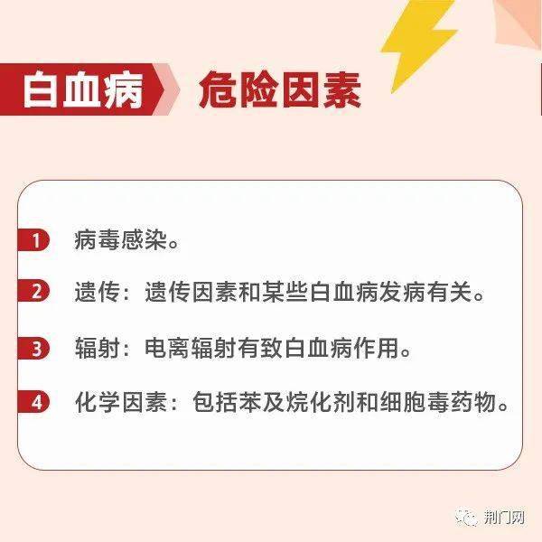 荊門最新招聘求職，探索職業(yè)發(fā)展的無限可能，荊門最新招聘求職信息，探索職業(yè)發(fā)展無限機遇