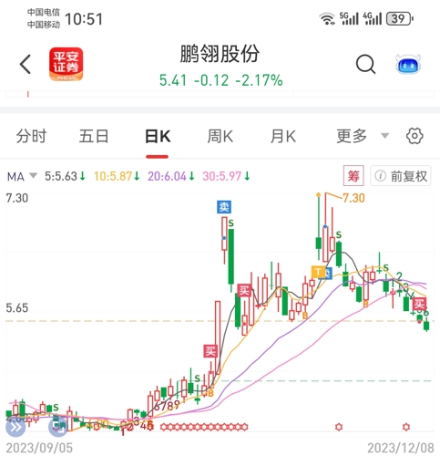 鵬翎股份最新消息全面解讀，鵬翎股份最新消息全面解讀與分析