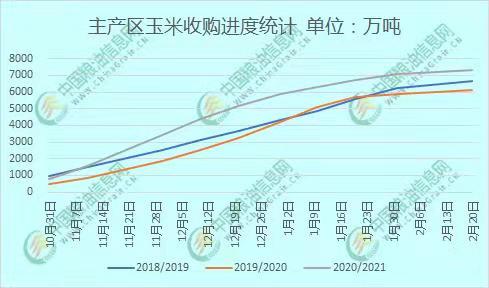 全國玉米價格最新行情分析，全國玉米價格最新行情解析