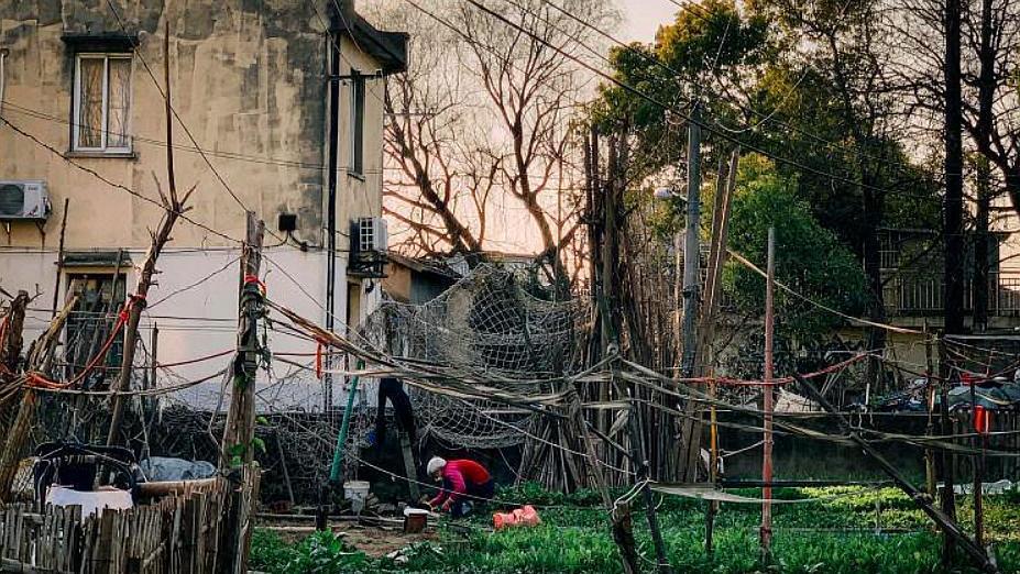 上海最新拆遷動態(tài)，變化中的城市面貌與居民生活，上海拆遷最新動態(tài)，城市面貌與居民生活的變遷