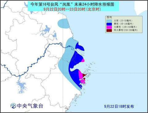 浙江臺風網最新消息全面解析，浙江臺風網最新消息全面解讀