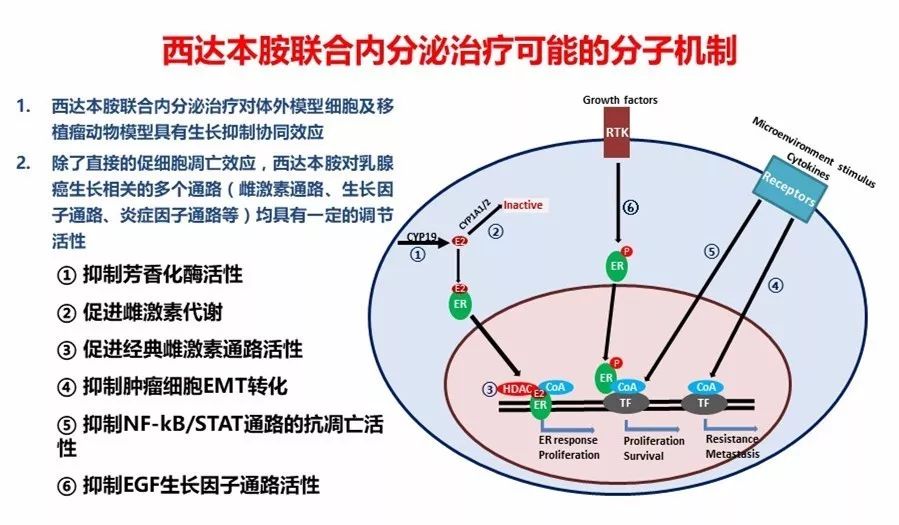 西達本胺最新消息，研發(fā)進展、應(yīng)用前景及市場趨勢分析，西達本胺最新研發(fā)進展、應(yīng)用前景與市場需求分析，最新消息和市場趨勢探討