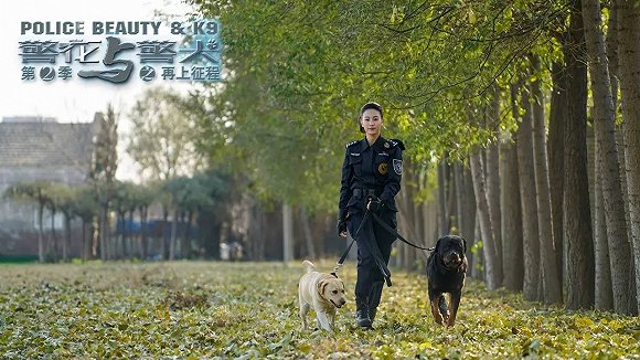 警花與警犬2最新消息，熱血回歸，人與犬的正義新篇章，警花與警犬2熱血回歸，人與犬的正義新篇章最新消息