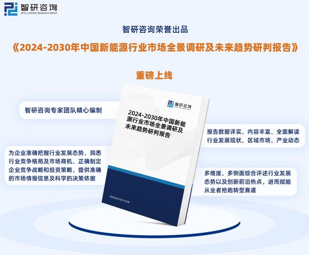 揭秘2024新奧正版資料免費獲取途徑，揭秘，免費獲取2024新奧正版資料的途徑