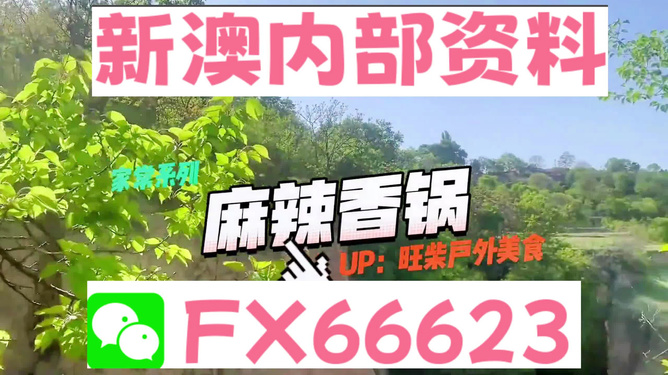 新澳準(zhǔn)資料免費(fèi)提供背后的犯罪問題探討，新澳準(zhǔn)資料免費(fèi)提供背后的犯罪問題深度探討