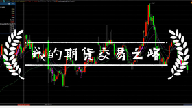 澳門4949最快開獎直播今天,經(jīng)典解答解釋定義_精英版66.247