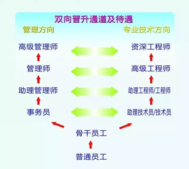 立訊精密最新招聘信息概覽，立訊精密最新招聘信息全面解析