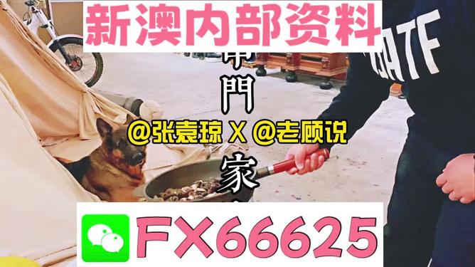 管家婆免費資料大全公開，探索與解析，管家婆免費資料大全揭秘，探索與解析