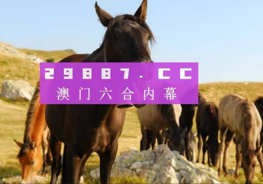 澳門管家婆免費(fèi)資料查詢系統(tǒng)，探索與解析（2024版），澳門管家婆免費(fèi)資料查詢系統(tǒng)解析（最新2024版）