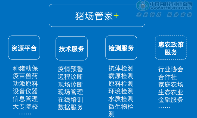 管家婆資料大全,高效設(shè)計(jì)計(jì)劃_豪華版44.528