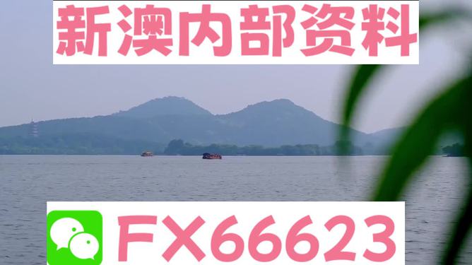 關(guān)于新澳精準(zhǔn)資料大全的探討與警示——警惕違法犯罪風(fēng)險，警惕新澳精準(zhǔn)資料的風(fēng)險，探討與警示——預(yù)防違法犯罪風(fēng)險