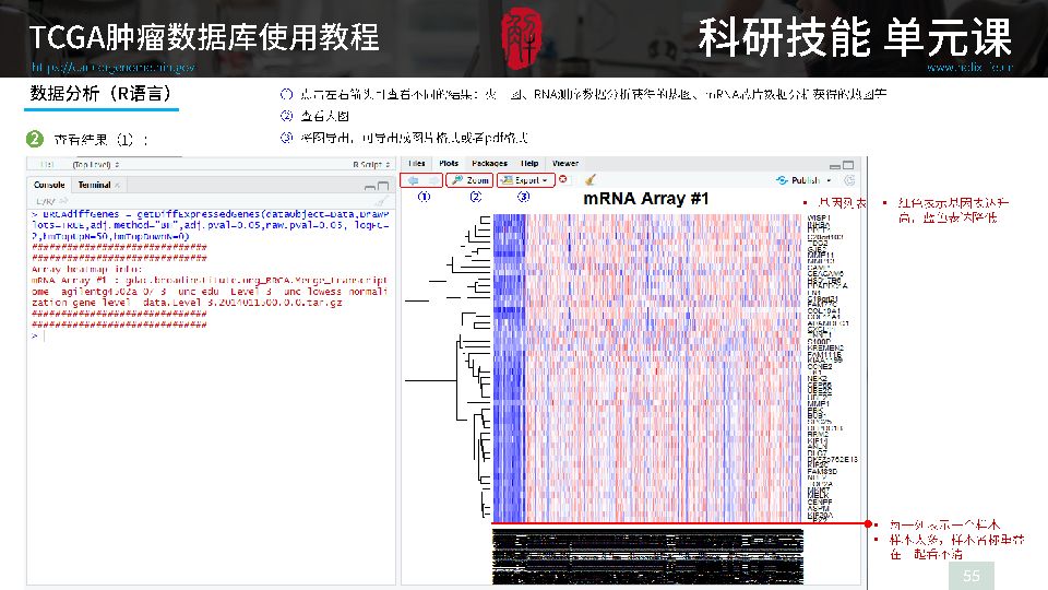 澳門玄機子14918,數(shù)據(jù)驅動執(zhí)行方案_GM版97.797