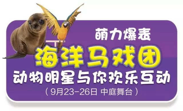 新奧門天天開獎資料大全，揭示背后的風(fēng)險(xiǎn)與犯罪問題，新奧門天天開獎背后的風(fēng)險(xiǎn)與犯罪問題揭秘