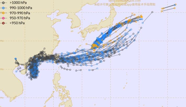 今年二號(hào)臺(tái)風(fēng)最新消息及其影響分析，今年二號(hào)臺(tái)風(fēng)最新動(dòng)態(tài)及其影響深度解析