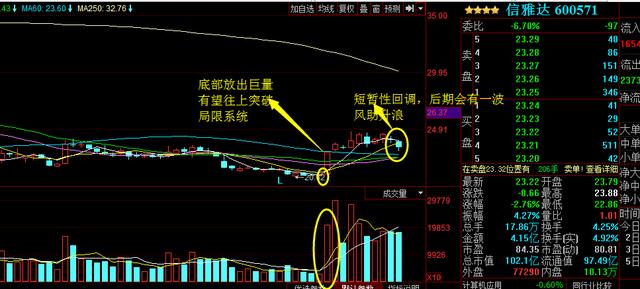 浙大網(wǎng)新為何不漲，深度探究與理性分析，浙大網(wǎng)新股價不漲背后的原因深度探究與理性分析