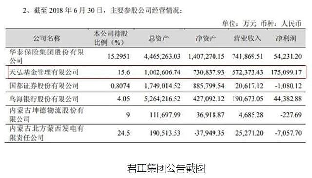 君正集團(tuán)未來估值，展望與預(yù)測