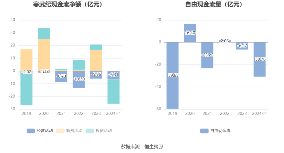 寒武紀(jì)2024年目標(biāo)價(jià)的深度解析與展望，寒武紀(jì)2024年目標(biāo)價(jià)的深度解析及展望，未來趨勢與市場預(yù)測