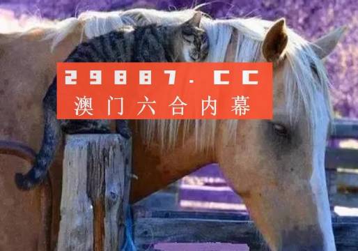 澳門必中一肖一碼四不像——揭開犯罪現(xiàn)象的神秘面紗，澳門犯罪現(xiàn)象揭秘，揭秘必中一肖一碼四不像的神秘面紗