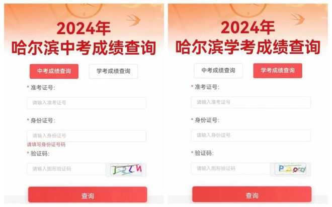 2024新澳最新開獎結(jié)果查詢——掌握彩票動態(tài)的必備指南，掌握彩票動態(tài)必備指南，2024新澳最新開獎結(jié)果查詢