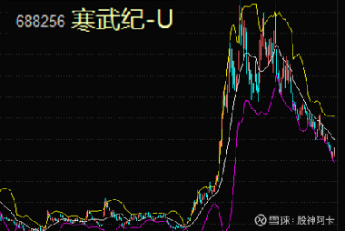 寒武紀(jì)重組最新消息，引領(lǐng)科技變革的新篇章，寒武紀(jì)重組引領(lǐng)科技變革新篇章，最新消息揭秘