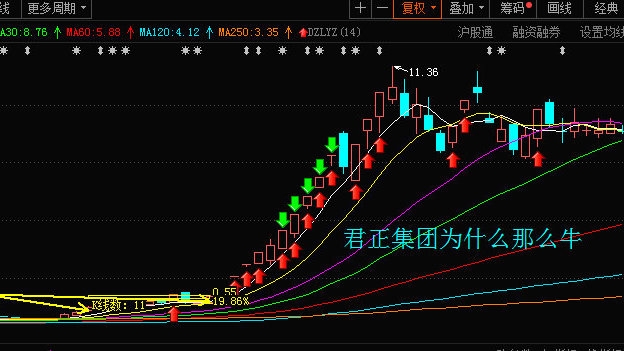 君正云通，一只10倍牛股的成長(zhǎng)之路，君正云通，牛股成長(zhǎng)之路揭秘，邁向十倍增長(zhǎng)之路