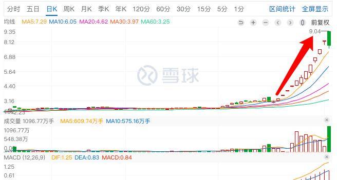 君正集團，是妖股還是價值投資之選？，君正集團，價值投資還是妖股之爭？