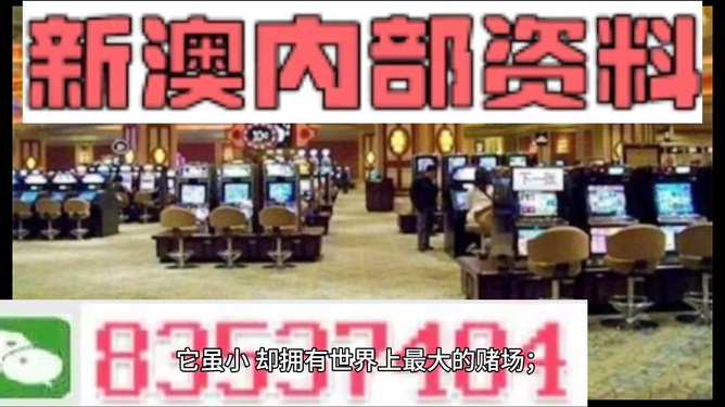 探索2024新澳精準(zhǔn)正版資料的價值與重要性，探索2024新澳精準(zhǔn)正版資料的重要性與價值