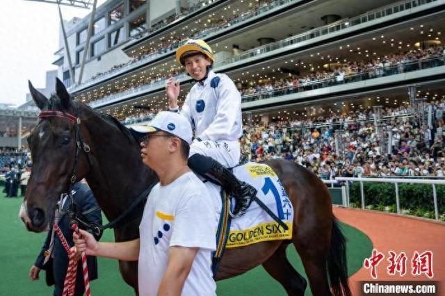 香港特馬王資料免費(fèi)公開，揭露違法犯罪問題的重要性，香港特馬王資料揭露違法犯罪問題的重要性，公開資料揭示真相