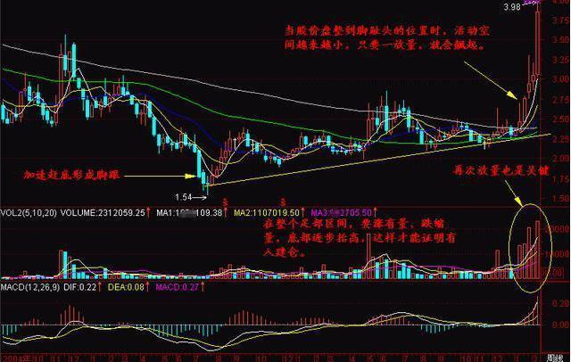 探尋未來(lái)之星，2025年有望翻十倍的潛力股票，探尋未來(lái)之星，潛力股票展望2025年十倍增長(zhǎng)之路