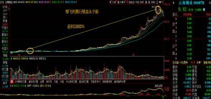 威爾泰股吧，探索企業(yè)潛力與機(jī)遇的舞臺(tái)，威爾泰股吧，企業(yè)潛力與機(jī)遇的探索舞臺(tái)