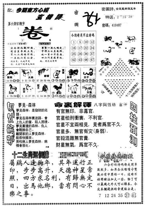 澳門正版資料大全與貧困問題的探討，澳門正版資料與貧困問題深度探討