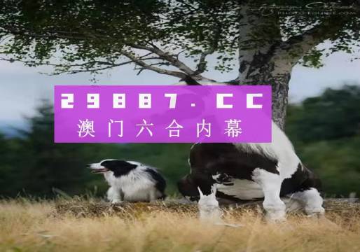 探索精準(zhǔn)新跑狗，數(shù)字77777與88888的神秘之旅，揭秘?cái)?shù)字跑狗之旅，探尋精準(zhǔn)跑狗與神秘?cái)?shù)字77777與88888的秘密