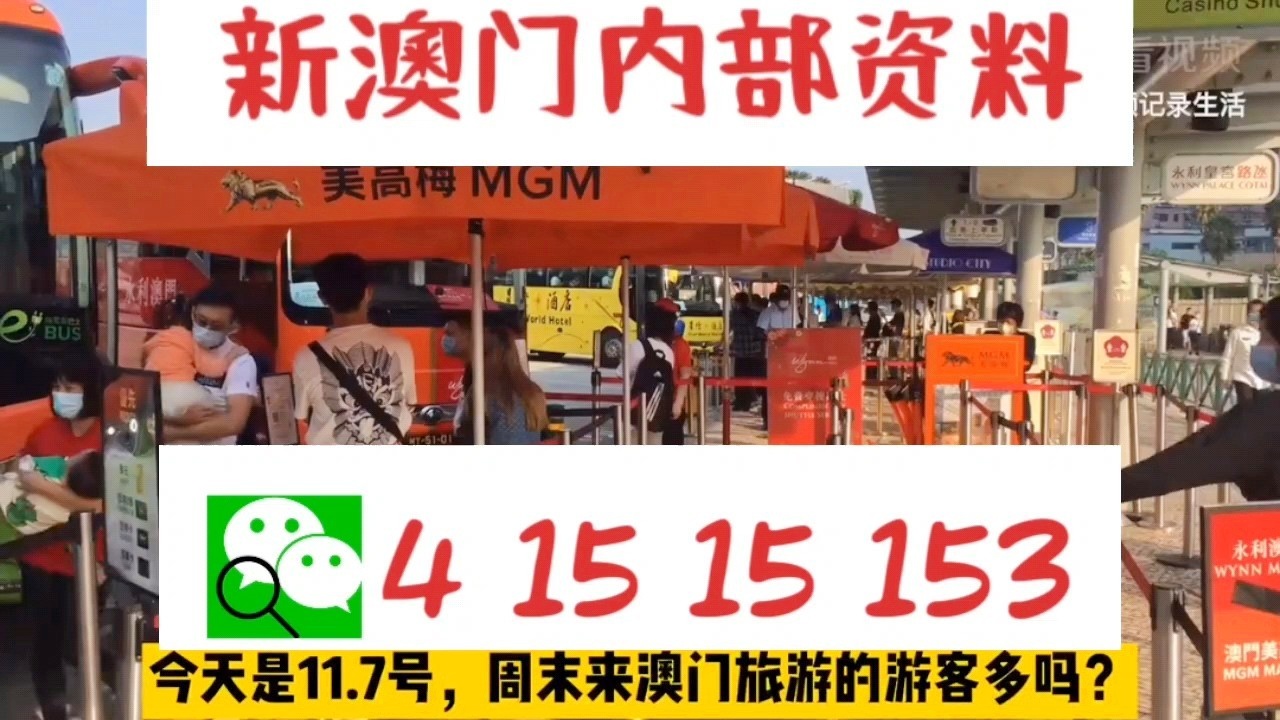 關于新澳門資料大全及家野中特的探討——警惕違法犯罪風險，澳門資料大全及家野中特探討，警惕潛在違法犯罪風險