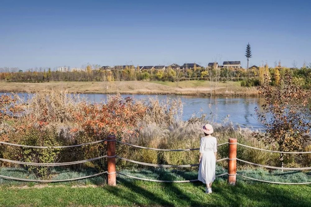 西安最新濕地公園，生態(tài)與文化的完美融合，西安最新濕地公園，生態(tài)與文化的和諧共融