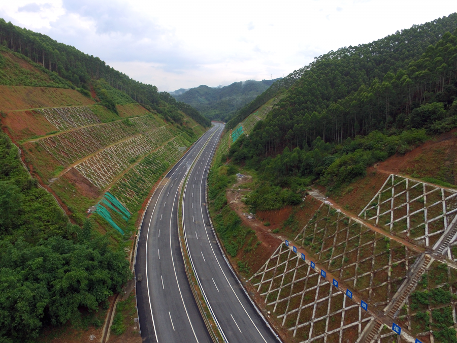 梧州最新道路，城市發(fā)展的脈絡(luò)與未來展望，梧州最新道路，城市發(fā)展的脈絡(luò)與未來展望展望