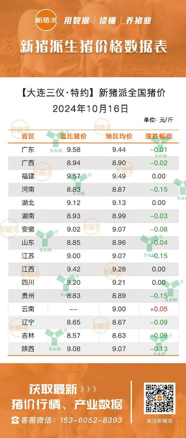 最新仔豬市場行情分析，最新仔豬市場行情深度解析