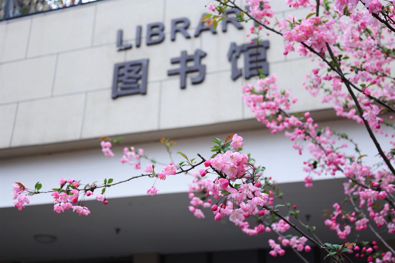 學?；貞獔D書館放置一路生花，深化校園文化，弘揚正能量，學校實施文化弘揚，圖書館放置一路生花深化正能量校園文化響應啟動