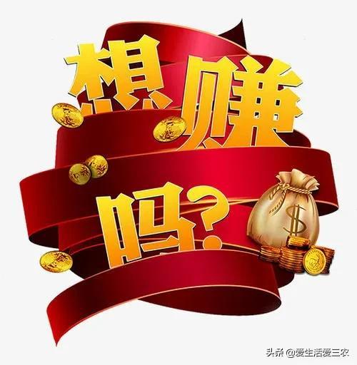 一天賺500，如何實(shí)現(xiàn)你的收入目標(biāo)，一天賺500，實(shí)現(xiàn)你的收入目標(biāo)指南