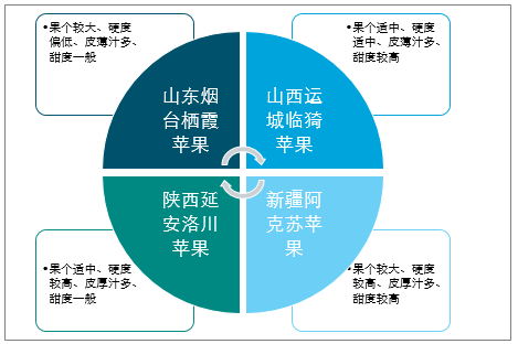 陜西蘋果產(chǎn)業(yè)全產(chǎn)業(yè)鏈深度解析，陜西蘋果產(chǎn)業(yè)全產(chǎn)業(yè)鏈深度探究