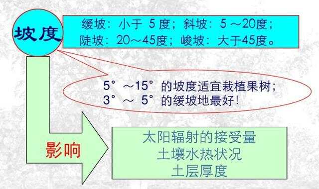 坡度超過25度耕地減少的原因分析，坡度超過25度耕地減少的原因探究