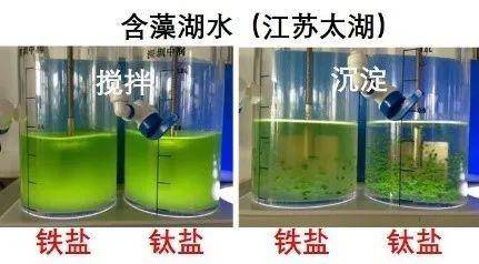 最新凈水材料的革新與應用，凈水材料革新與應用進展