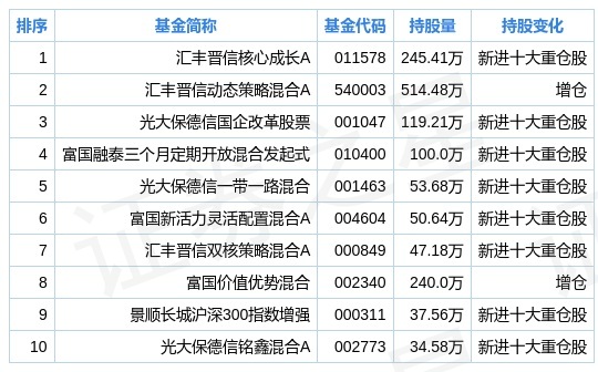 廣信股份股票適合長(zhǎng)期持有嗎？解析其投資潛力與風(fēng)險(xiǎn)考量，廣信股份股票長(zhǎng)期持有價(jià)值解析，投資潛力與風(fēng)險(xiǎn)考量