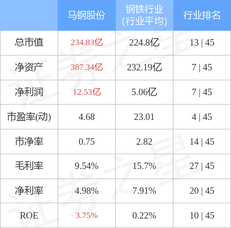 馬鋼股份股票前景展望，馬鋼股份股票前景展望與分析