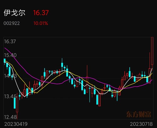 伊戈?duì)柟砂蓶|方財(cái)富，股市新星與投資者的新選擇，伊戈?duì)柟砂蓶|方財(cái)富，股市新星，投資者的新選擇