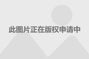 電視劇護心演員表深度解析，電視劇護心演員表深度解析與角色剖析