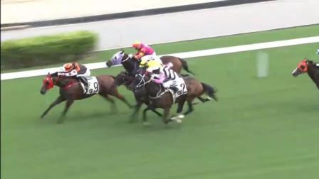 今晚香港開特馬，期待與驚喜交織的時(shí)刻，香港特馬開彩驚喜與期待交織的時(shí)刻