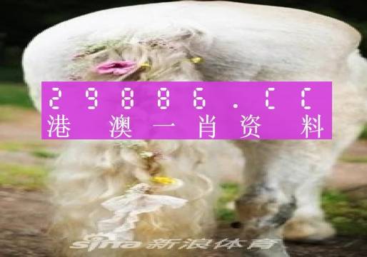 澳門內(nèi)部資料精準大全2023，揭示背后的風險與挑戰(zhàn)，澳門內(nèi)部資料精準大全揭秘，風險與挑戰(zhàn)并存于2023年