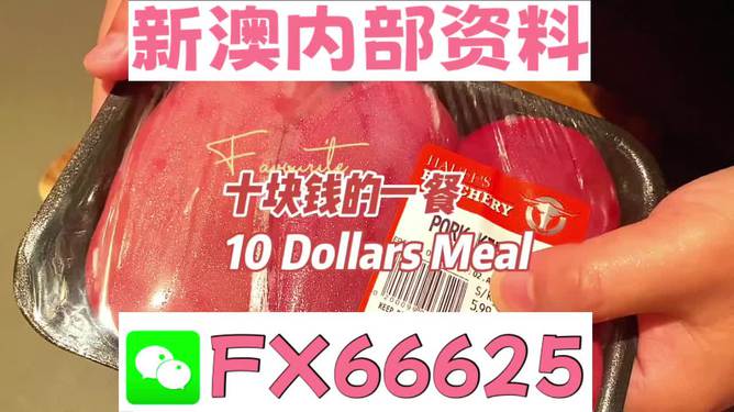 新澳全年免費(fèi)資料大全，探索與收獲，新澳全年免費(fèi)資料大全，探索之旅與收獲的時(shí)刻